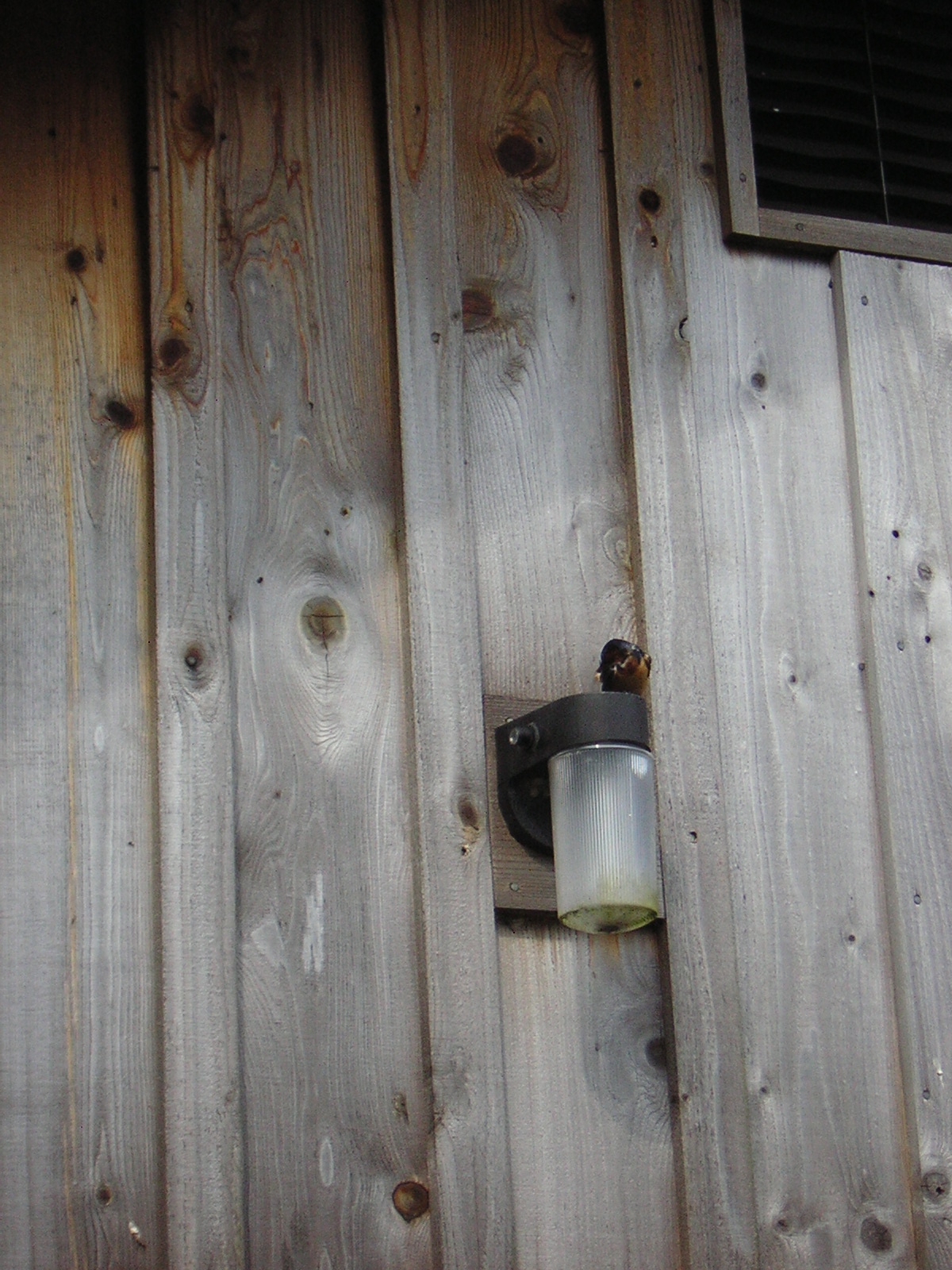DSCN3304.jpg