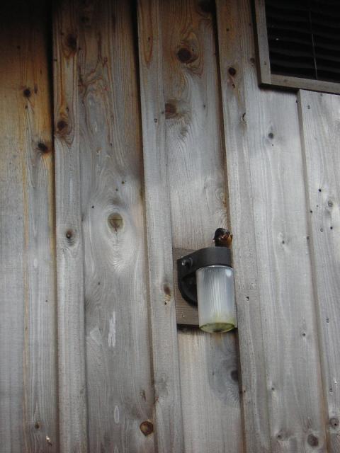 DSCN3304.jpg