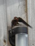 DSCN3305.jpg