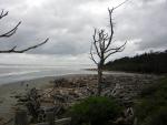 DSCN3307.jpg