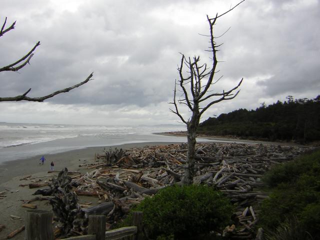 DSCN3307.jpg