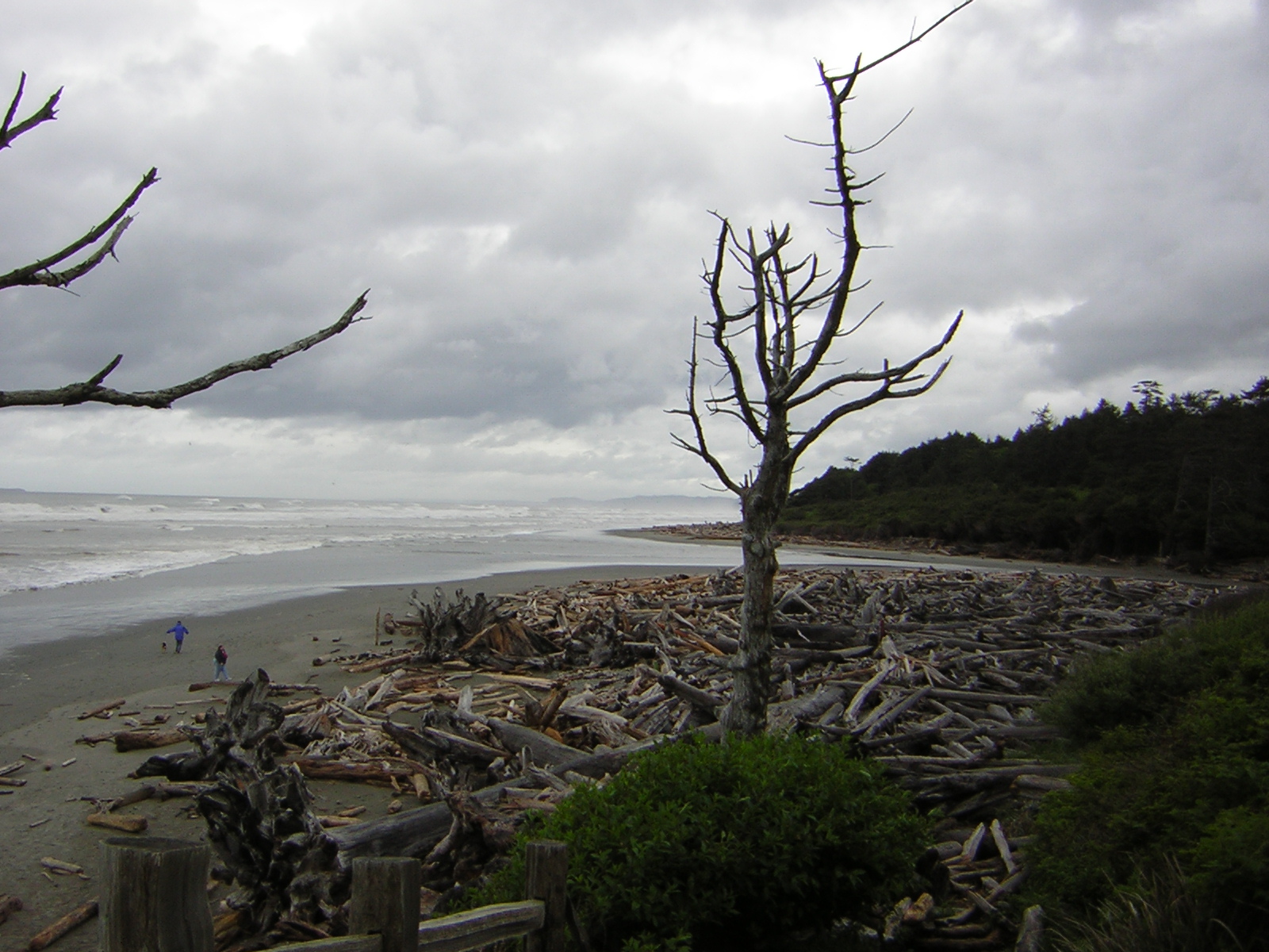 DSCN3308.jpg