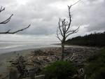 DSCN3308.jpg
