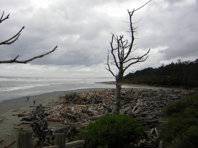 DSCN3308.jpg