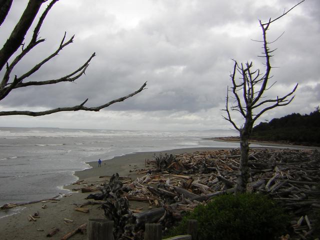 DSCN3309.jpg