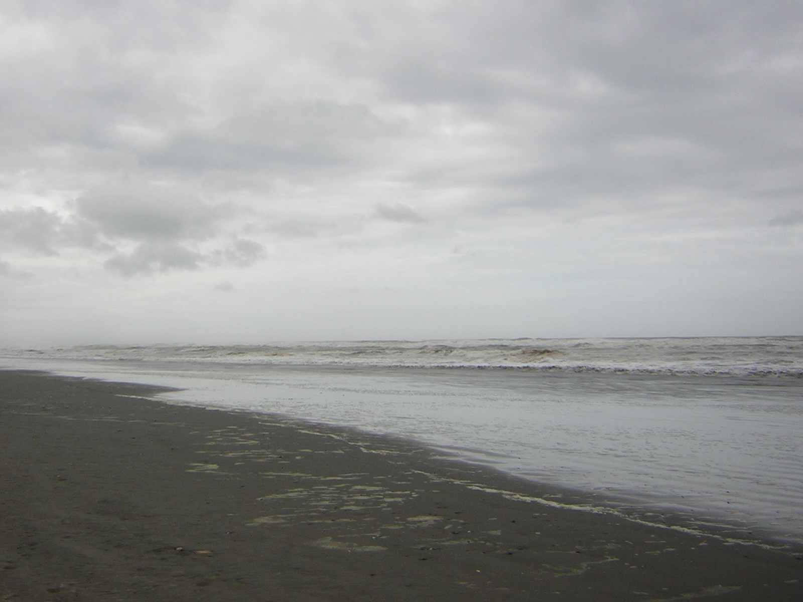 DSCN3310.jpg