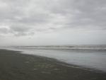 DSCN3310.jpg