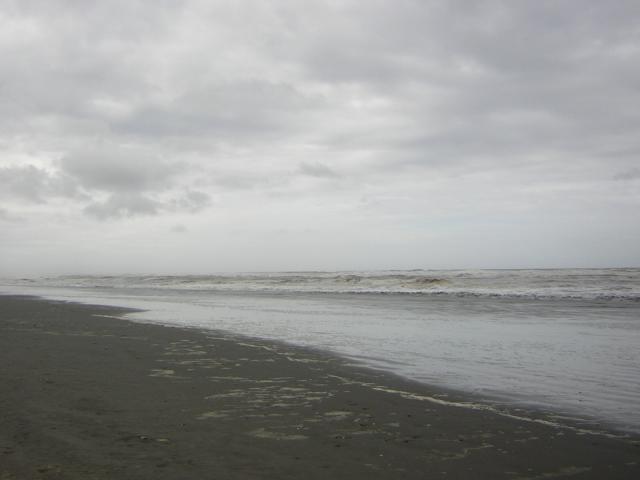DSCN3310.jpg