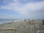 DSCN3313.jpg