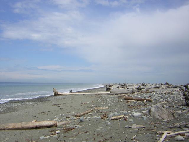DSCN3313.jpg