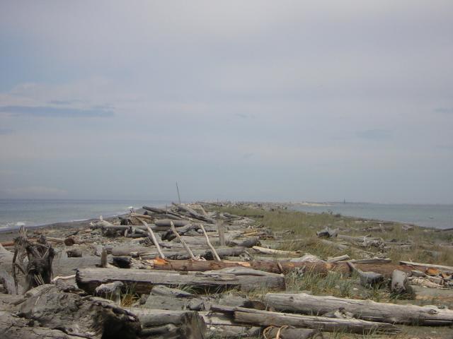 DSCN3315.jpg