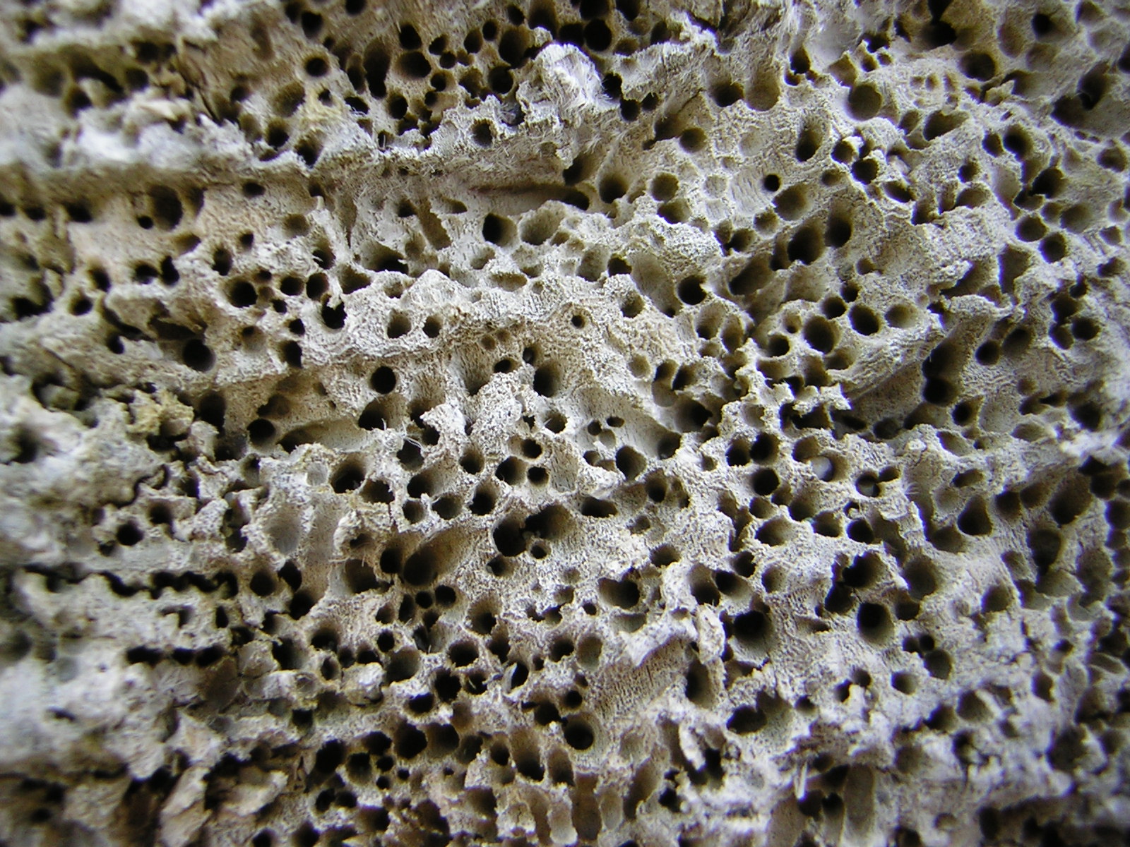 DSCN3317.jpg