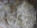 DSCN3318.jpg
