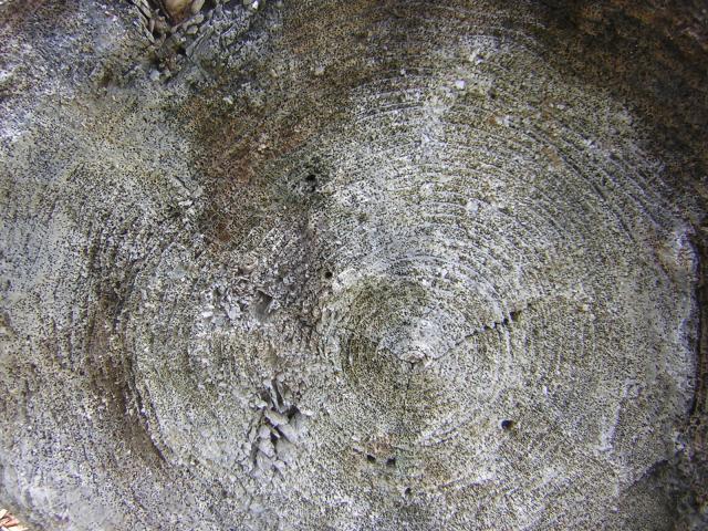 DSCN3318.jpg