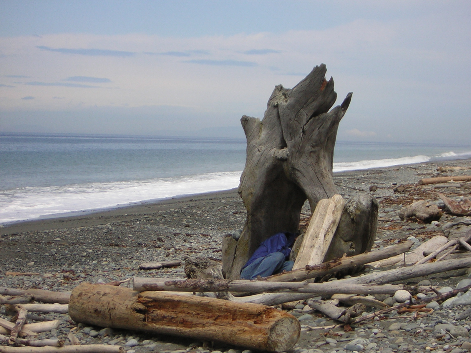 DSCN3319.jpg