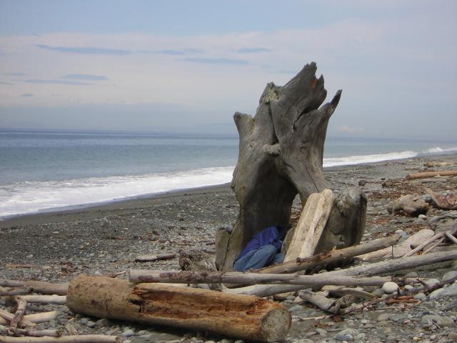 DSCN3319.jpg
