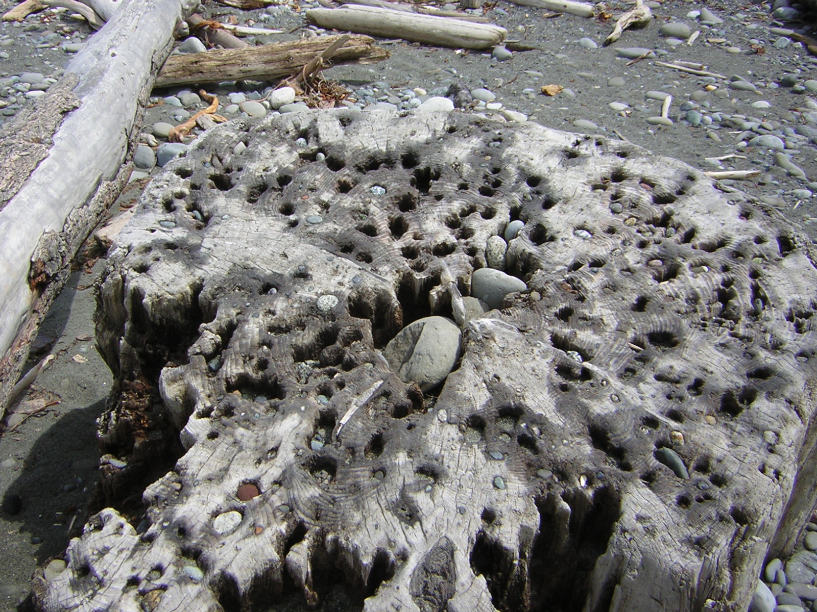 DSCN3312.jpg