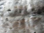 DSCN3311.jpg