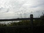 DSCN2091.jpg