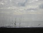 DSCN2092.jpg