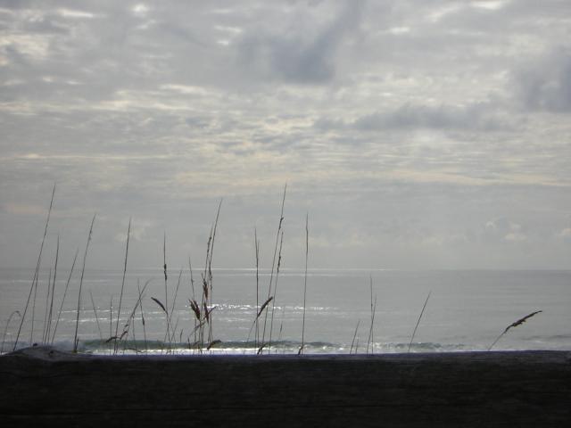 DSCN2092.jpg