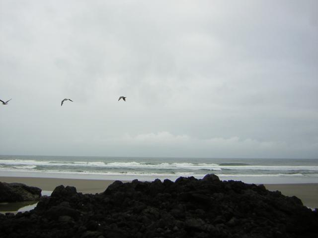 DSCN2107.jpg