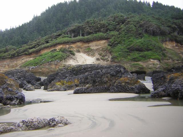 DSCN2108.jpg