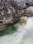DSCN2114.jpg
