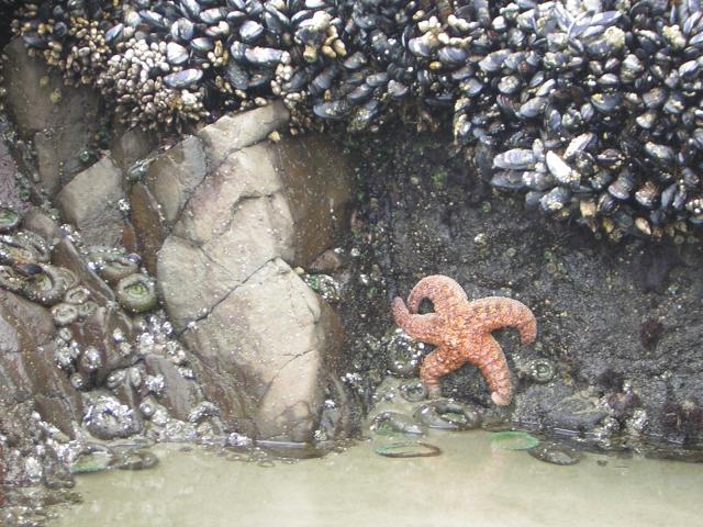 DSCN2117.jpg