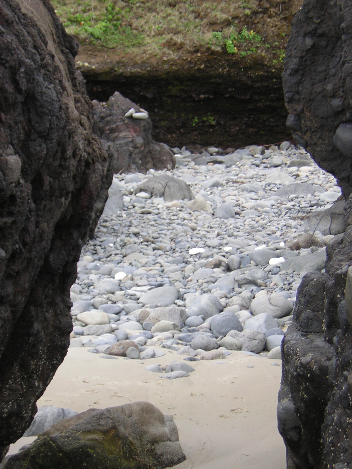 DSCN2120.jpg