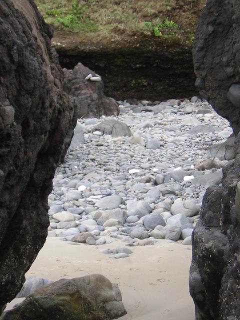 DSCN2120.jpg