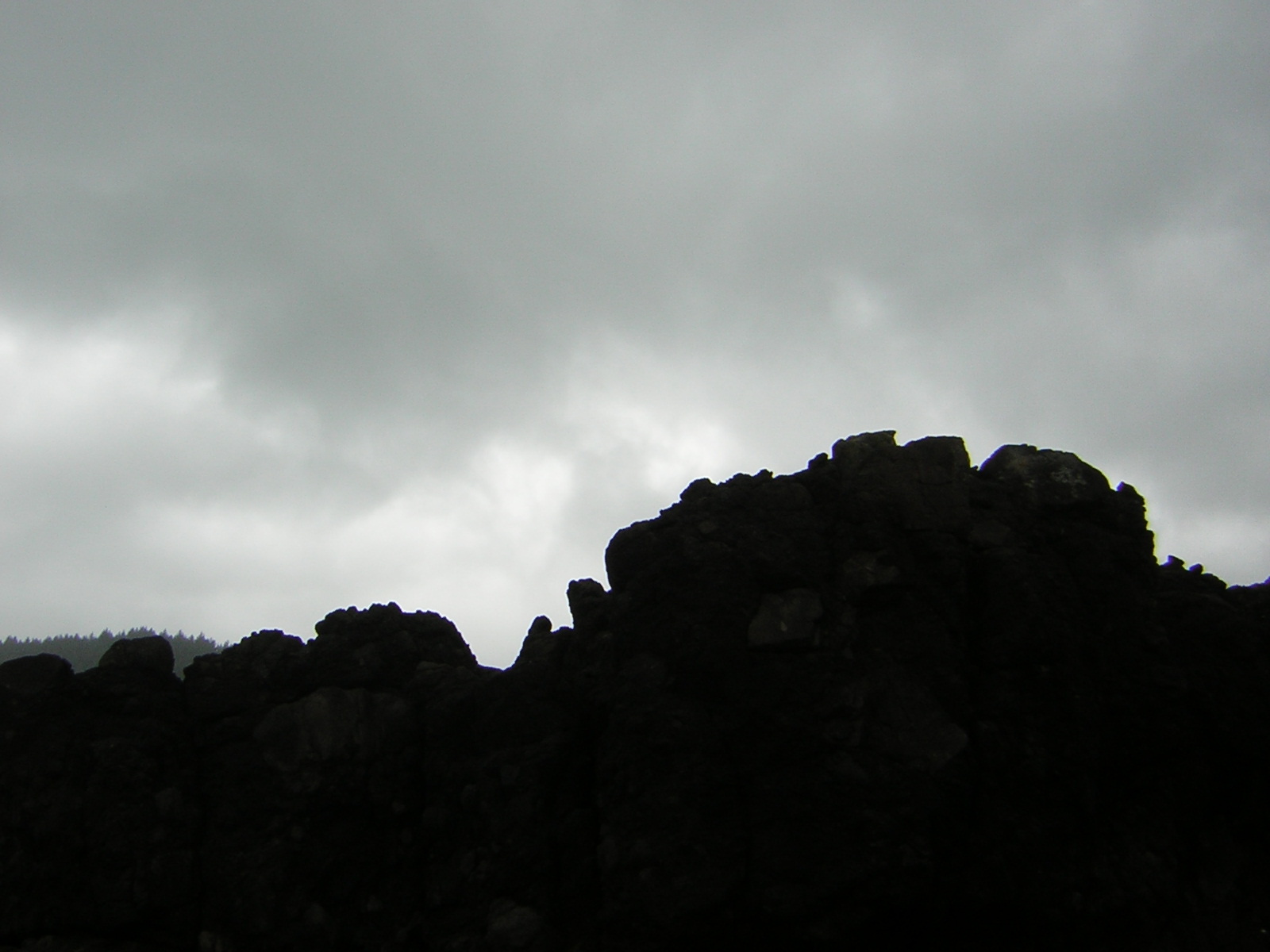 DSCN2121.jpg