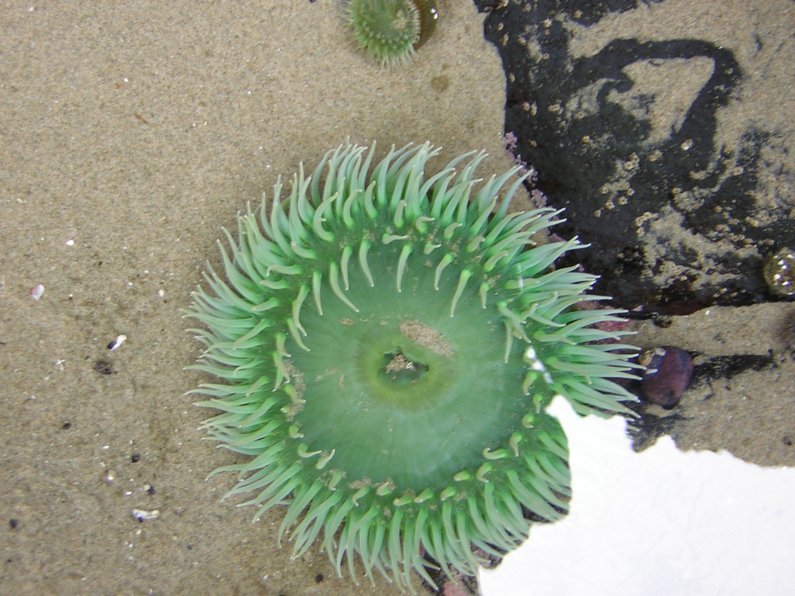 DSCN2122.jpg