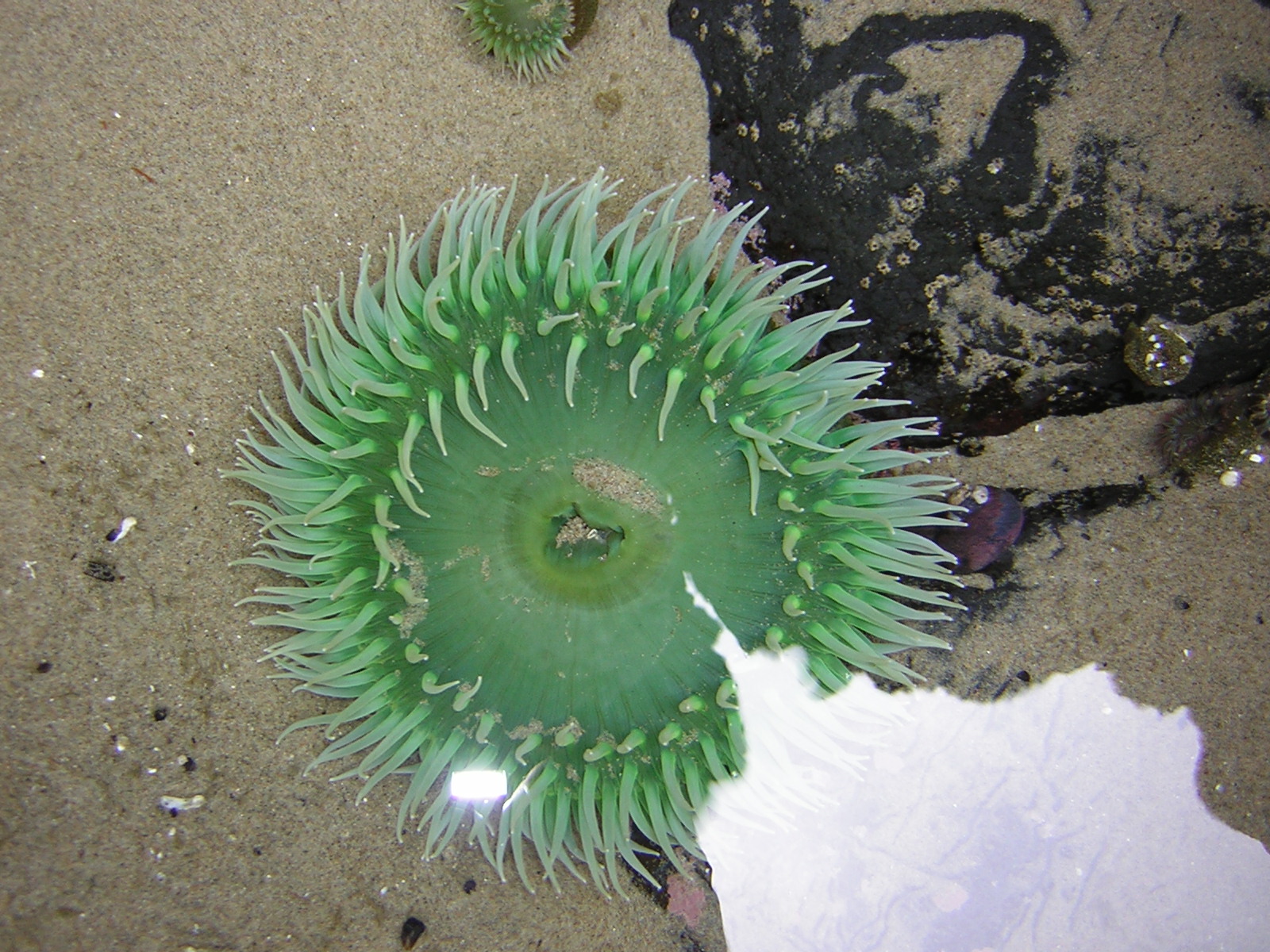 DSCN2123.jpg