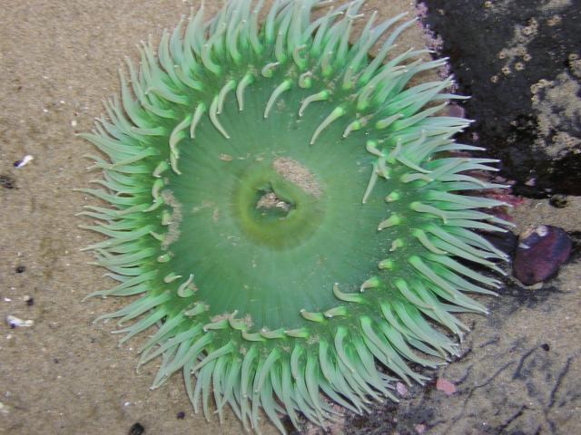 DSCN2124.jpg