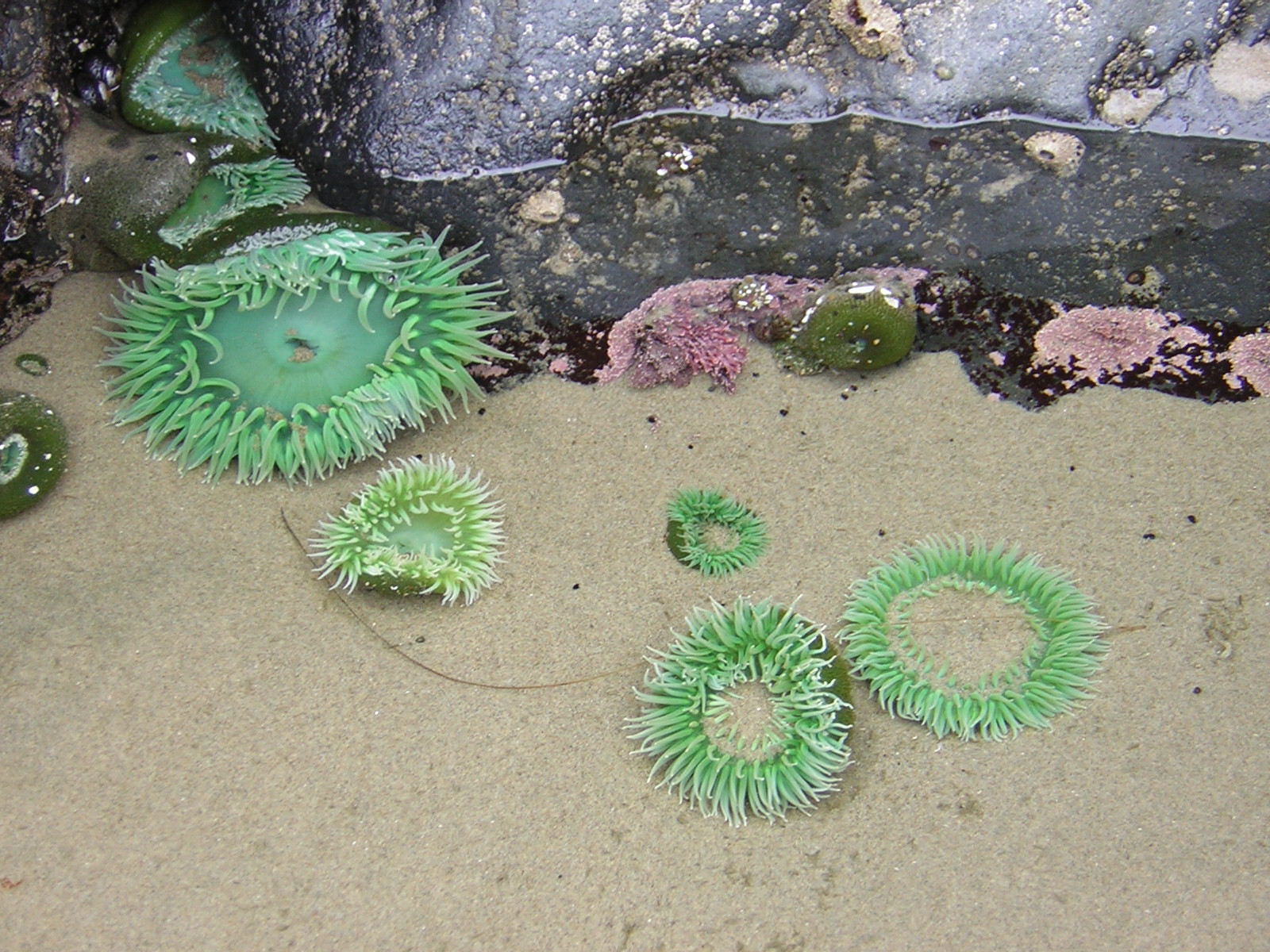DSCN2125.jpg