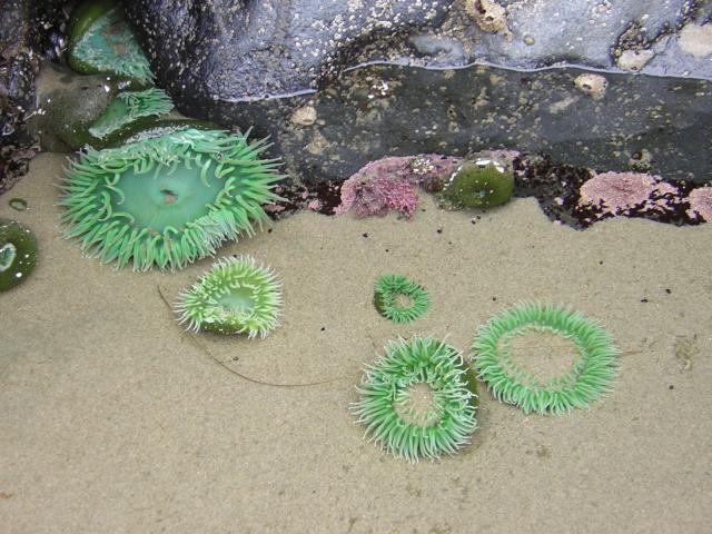 DSCN2125.jpg