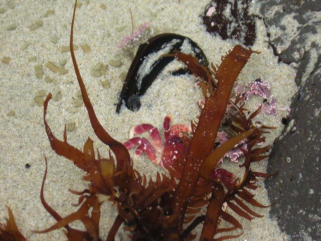 DSCN2126.jpg
