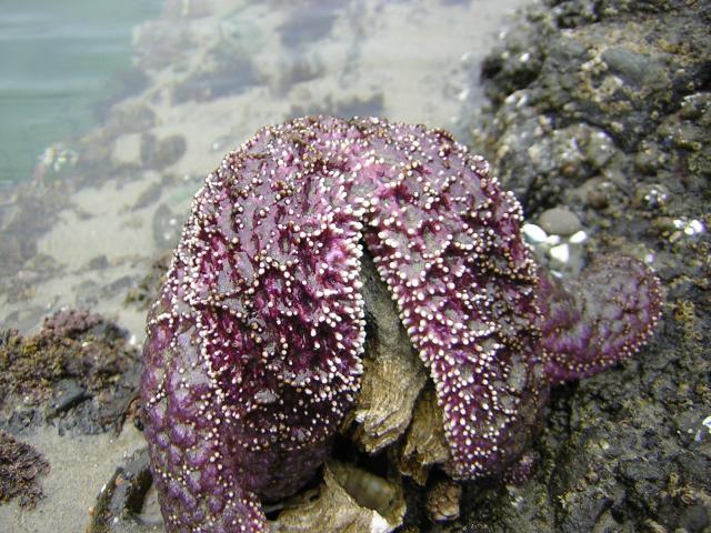 DSCN2127.jpg