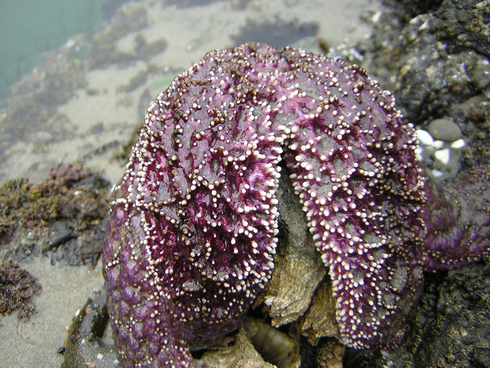 DSCN2128.jpg