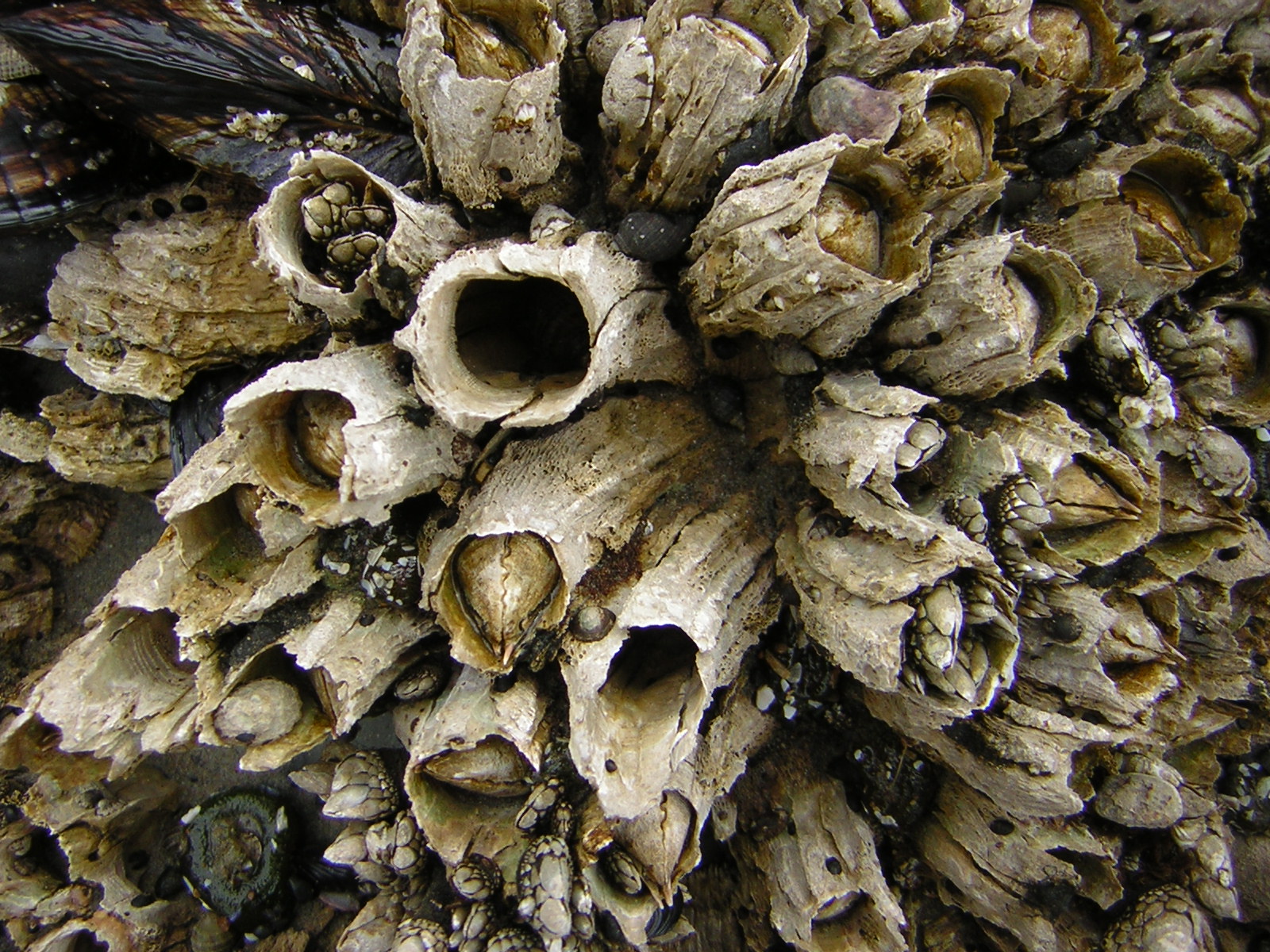 DSCN2130.jpg