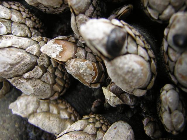 DSCN2131.jpg