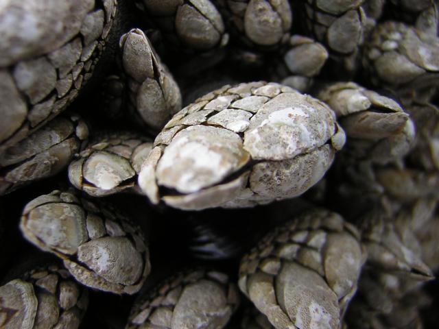 DSCN2132.jpg