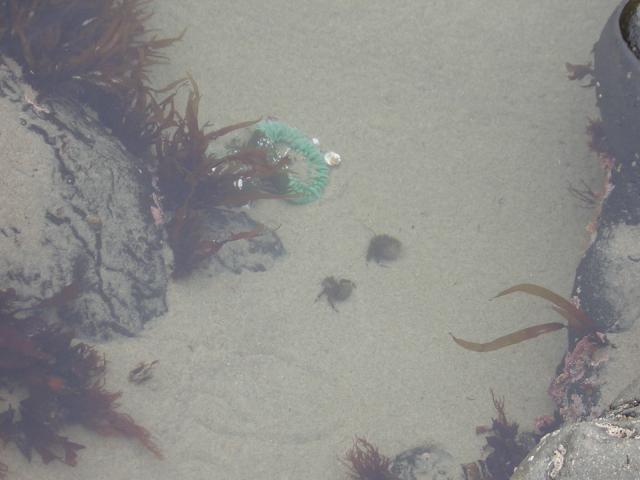 DSCN2133.jpg