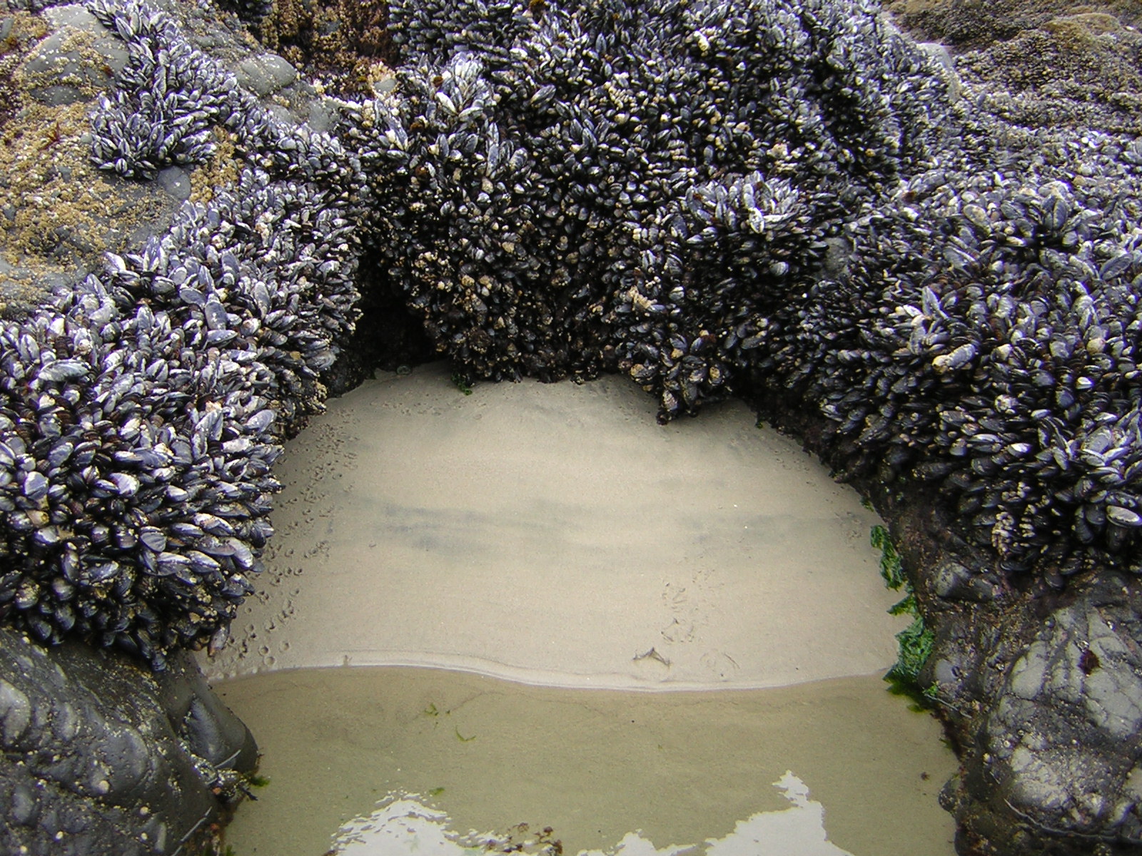 DSCN2134.jpg