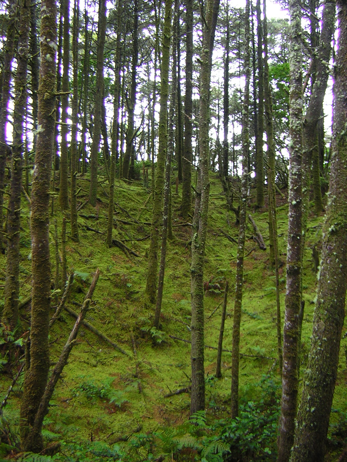DSCN2138.jpg
