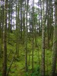 DSCN2139.jpg