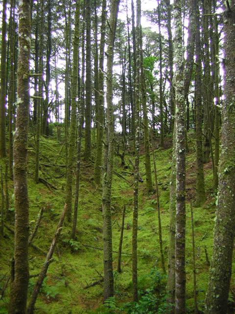 DSCN2139.jpg