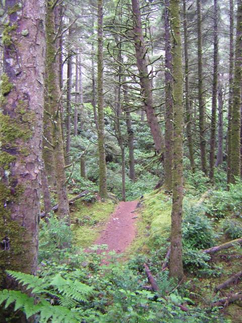 DSCN2141.jpg