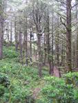 DSCN2142.jpg